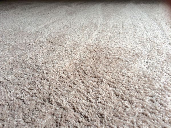 Plush Carpet Installation in Warwick