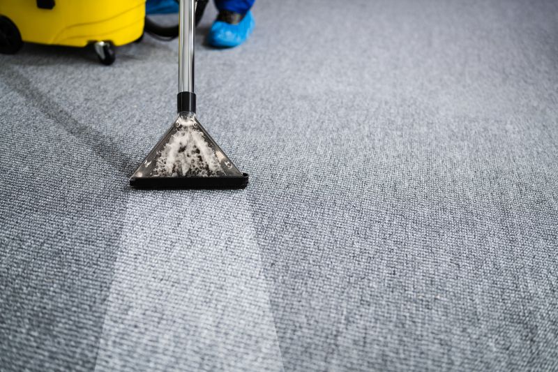 Eco-Friendly Carpet Cleaning